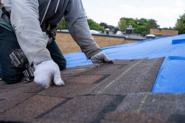 Best Metal Roofing Contractor  in Stroville, CA